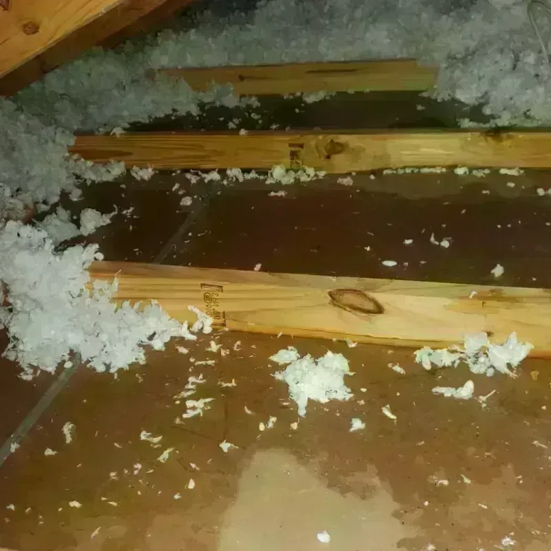 Attic Water Damage in Comanche, TX