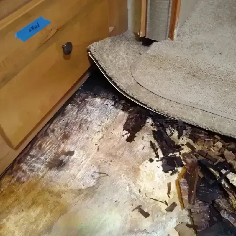 Wood Floor Water Damage in Comanche, TX